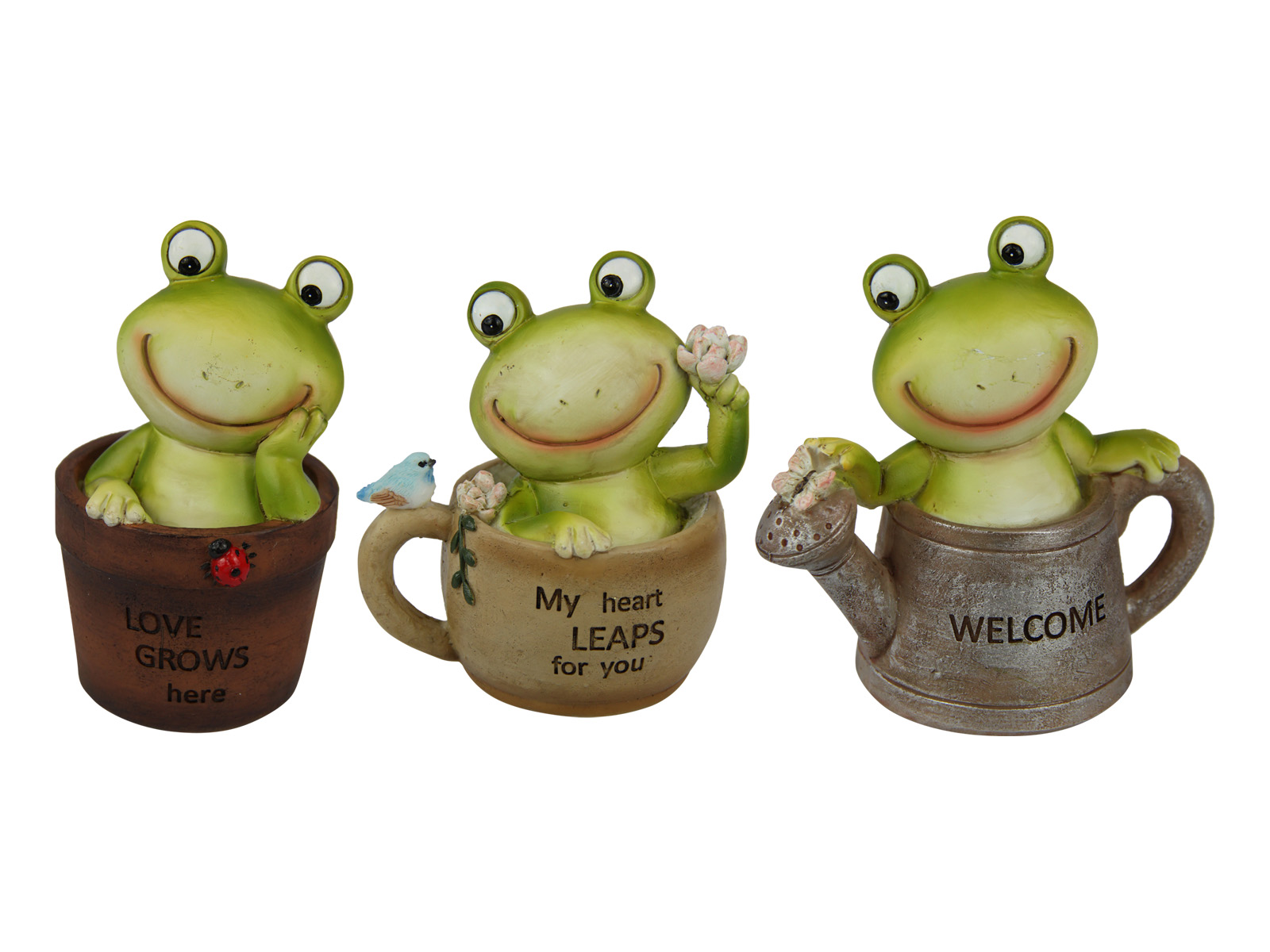 Frog in Pot/Mug/Can with Inspirational Wording